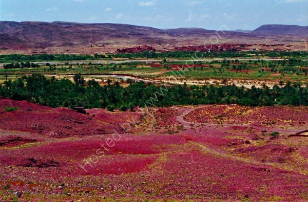 Countryside, Atlas Mountains